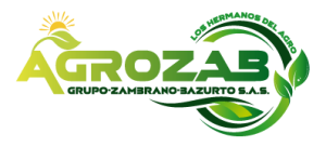 Grupo Zamba